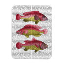 Recherche de poisson rouge magnets Imaginaire