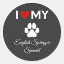 Recherche de springer anglais autocollants Chiot
