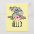 Recherche de koala gris cartes postales Aquarelle