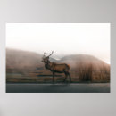 Recherche de beaux paysages posters Sauvage