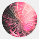 Zoek naar spinnenweb stickers Eng