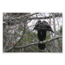 Recherche de anges photographie Nature