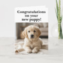 Recherche de le humour animal vœux cartes Chiot