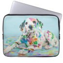 Recherche de dalmatiens Chien dalmatien