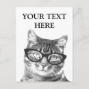 Zoek naar poes briefkaarten Grappig
