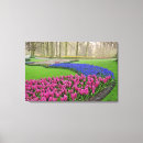 Recherche de rose de tulipe art Bleu