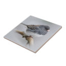 Recherche de ardoise carreaux Gris