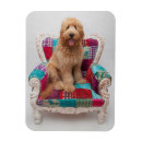 Recherche de chiot vintage magnets Chien