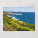 Recherche de guet cartes postales Nature