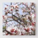 Zoek naar boom bloesem kunst Natuur