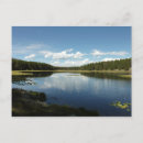 Recherche de lac de cygne cartes postales Nature