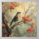 Zoek naar roodborstje posters Robin