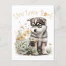 Recherche de malamute cartes postales Mignon