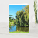 Recherche de saule pleurant Lac