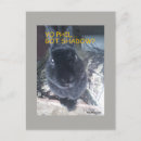 Recherche de pâques drôle cartes postales Animal