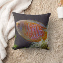 Zoek naar fish kussens Aquariumvis