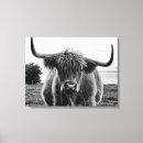 Zoek naar stieren kunst Boerderij