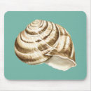 Recherche de coquilles tapis souris Coquillage