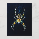 Recherche de tisserand cartes postales Faune