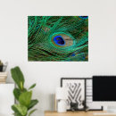 Recherche de plume paon posters Vert