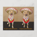 Recherche de marrante cartes postales Humour