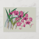 Recherche de orchidée tropicale cartes postales Violet