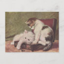 Recherche de chatons vintages cartes postales Chats