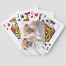 Recherche de shiba jeux de cartes Animal