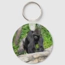 Zoek naar gorilla sleutelhangers Foto