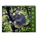 Recherche de koala calendriers Animaux