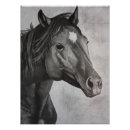 Recherche de étalon noir art Animal de ferme