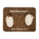 Recherche de dragon magnete Bébé