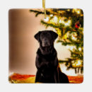 Recherche de black lab ornements Noël