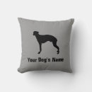 Recherche de whippets coussins Dog