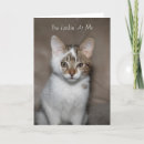 Recherche de chat tigré vœux cartes Humour