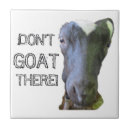 Zoek naar geiten tegels Boerderij