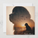 Recherche de terre neuve invitations Chien