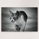 Recherche de noir monochrome puzzles Chaton