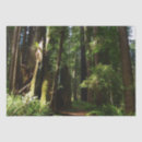 Zoek naar varen tissue papier Natuur