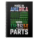 Zoek naar irish notitieboeken Ierland