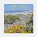 Zoek naar mono meer Californië