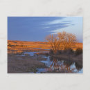 Recherche de se baigner cartes postales Paysage