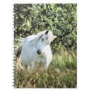 Recherche de cheval gris carnets Pour tous