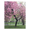 Recherche de histoire de new york posters Manhattan