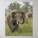 Recherche de asie posters Parc national