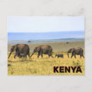 Recherche de kenya cartes postales Afrique