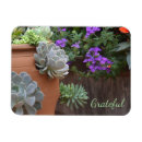 Recherche de succulent magnets Floral