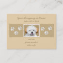 Recherche de apso de lhasa Lhassa