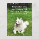 Recherche de eskie cartes postales Dog