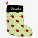 Recherche de coccinelle chaussette de noël Insecte